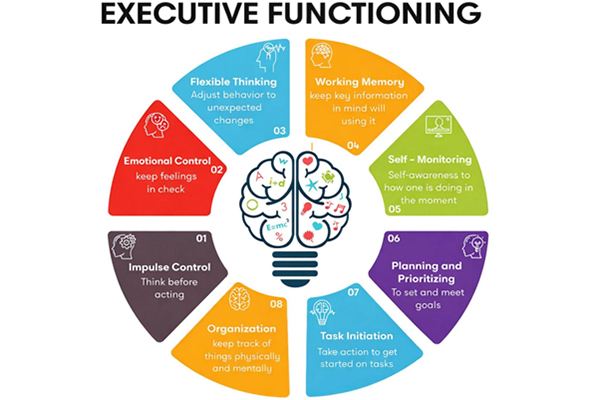 Executive Functioning and Its Meaning in ADHD